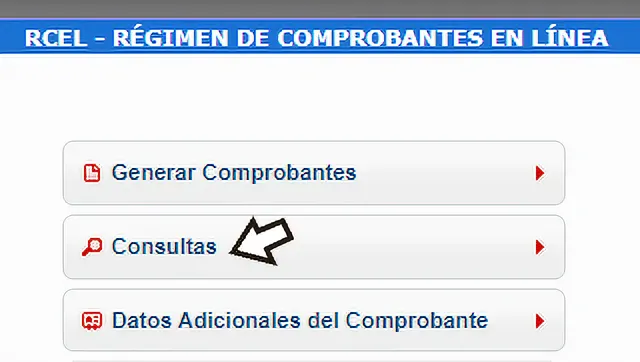 Conocé cómo podes hacer siendo monotributista para emitir facturas electrónicas de forma correcta. como emitir o anular una factura
